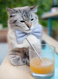 开云-撕裂大西洋，当莫兰特爆发遇上深圳队的决胜局智慧，独行侠如何被东方篮球哲学带走？