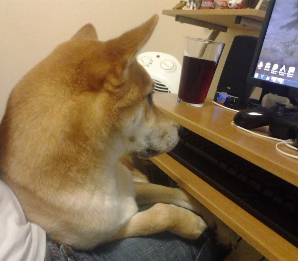 撕裂大西洋，当莫兰特爆发遇上深圳队的决胜局智慧，独行侠如何被东方篮球哲学带走？