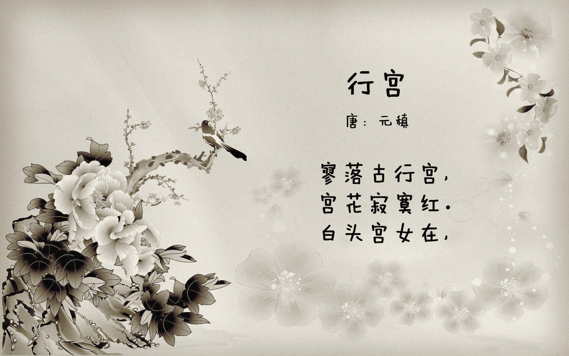 开云下载-新王加冕，福克斯在总决赛之夜打破三分纪录