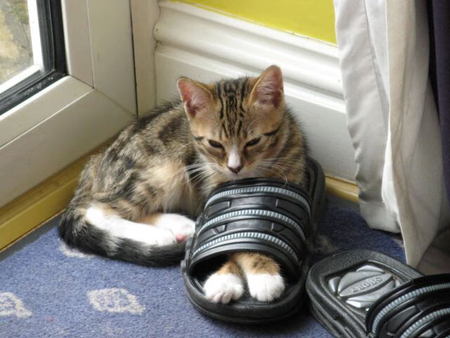 蓝色奇迹踏平诺坎普,特奥临危救主,加冕关键先生