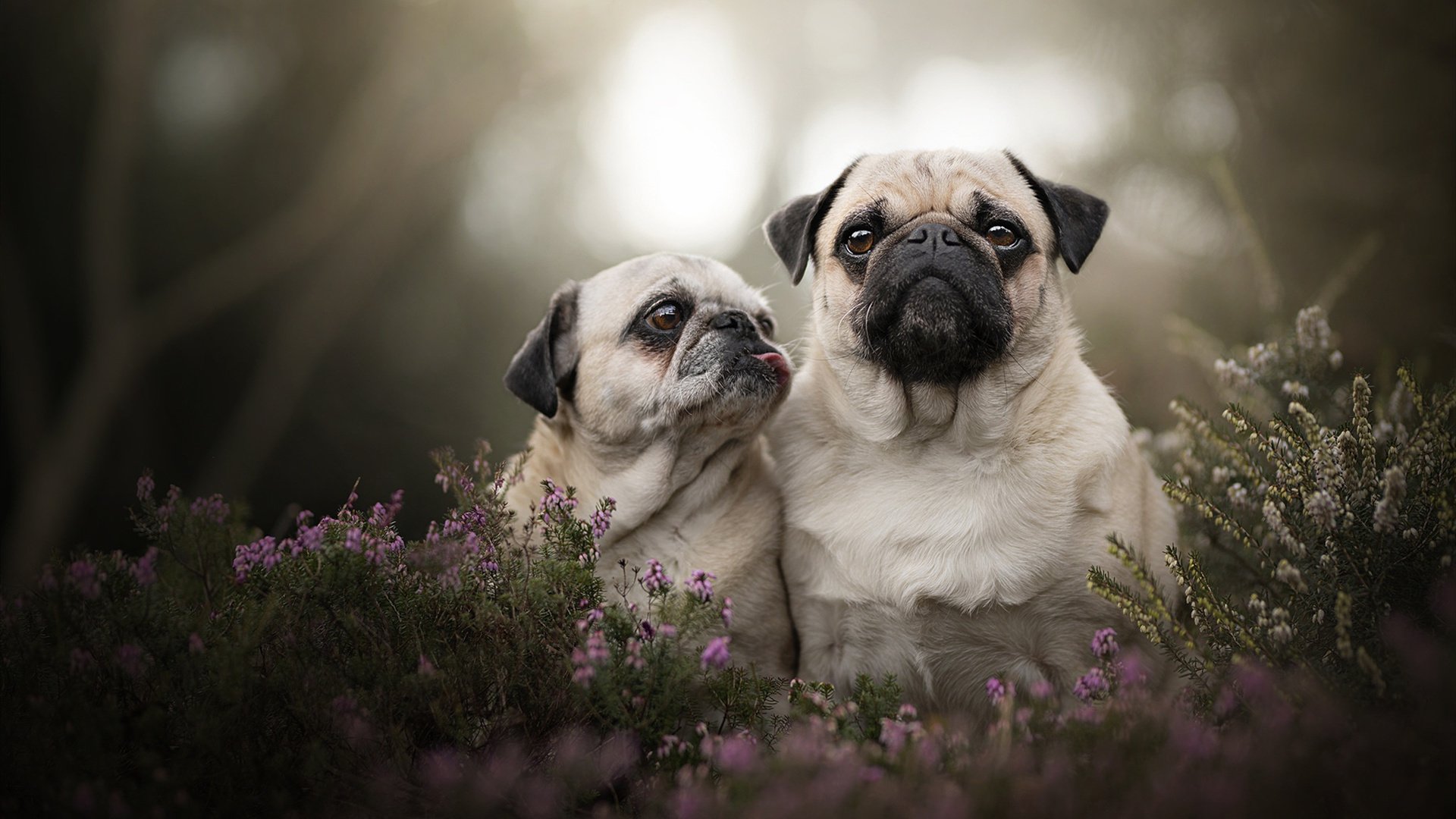 开云体育登录-布伦森之夜，在奥运的十字路口，他点燃了整个赛场